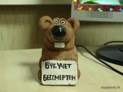 Курсы 