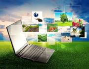 Проектирование и создание web-сайта