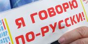 Репетитор по русскому языку, ораторскому искусству.Скайп
